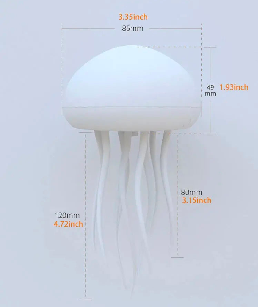 The Jellyfish